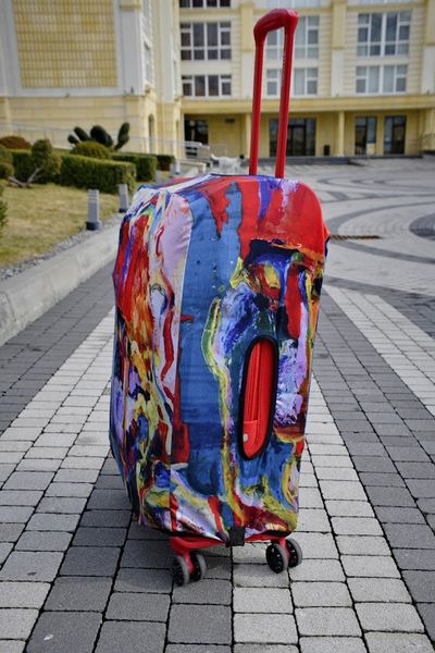 Art case for suitcase Knitwear “Microdiving” with original author's print L: 60-75 x 45-55 x 25-35 cm Blue-red abstraction