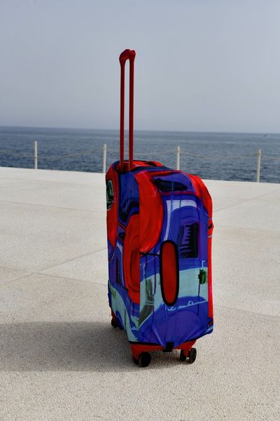 Art case for suitcase Knitwear “Microdiving” with original author's print L: 60-75 x 45-55 x 25-35 cm Blue and red mix