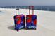 Art case for suitcase Knitwear “Microdiving” with original author's print L: 60-75 x 45-55 x 25-35 cm Blue and red mix