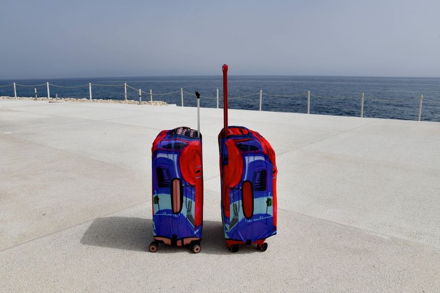 Art case for suitcase Knitwear “Microdiving” with original author's print L: 60-75 x 45-55 x 25-35 cm Blue and red mix